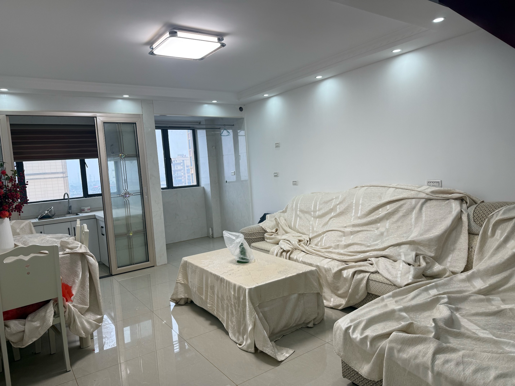 高铁明珠两层复式·两室两厅·麻雀虽小·五脏俱全·29.8万