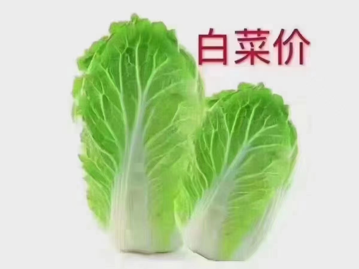 撿漏！北站片區(qū)，一線位置！130平四室兩廳，證件齊全，均價3800一平！