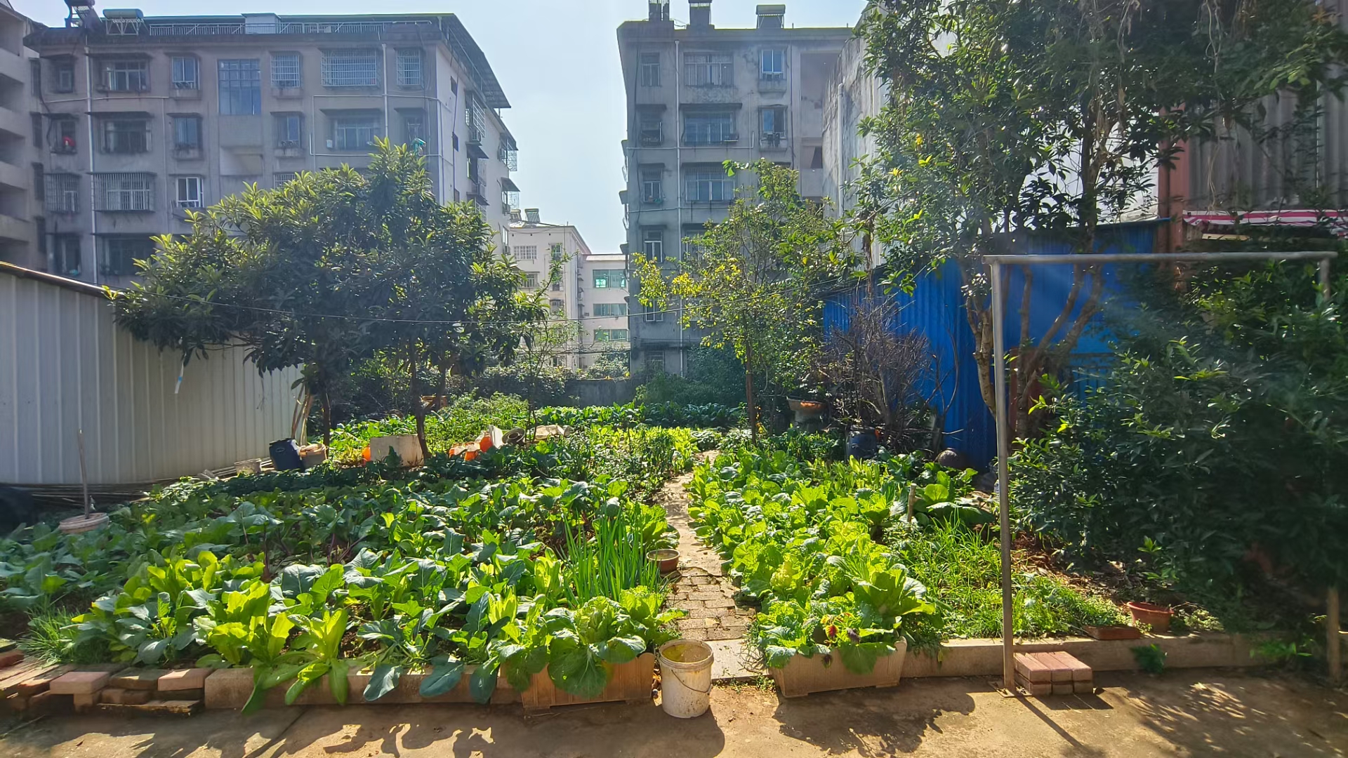 人民醫(yī)院附近一棟別墅，300平帶菜園，證件齊全