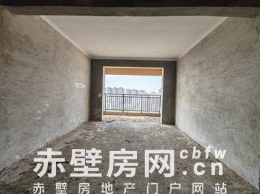 急售摩尔城（西湖国际）毛胚房，座北朝南，三室两厅两卫，有不动产证