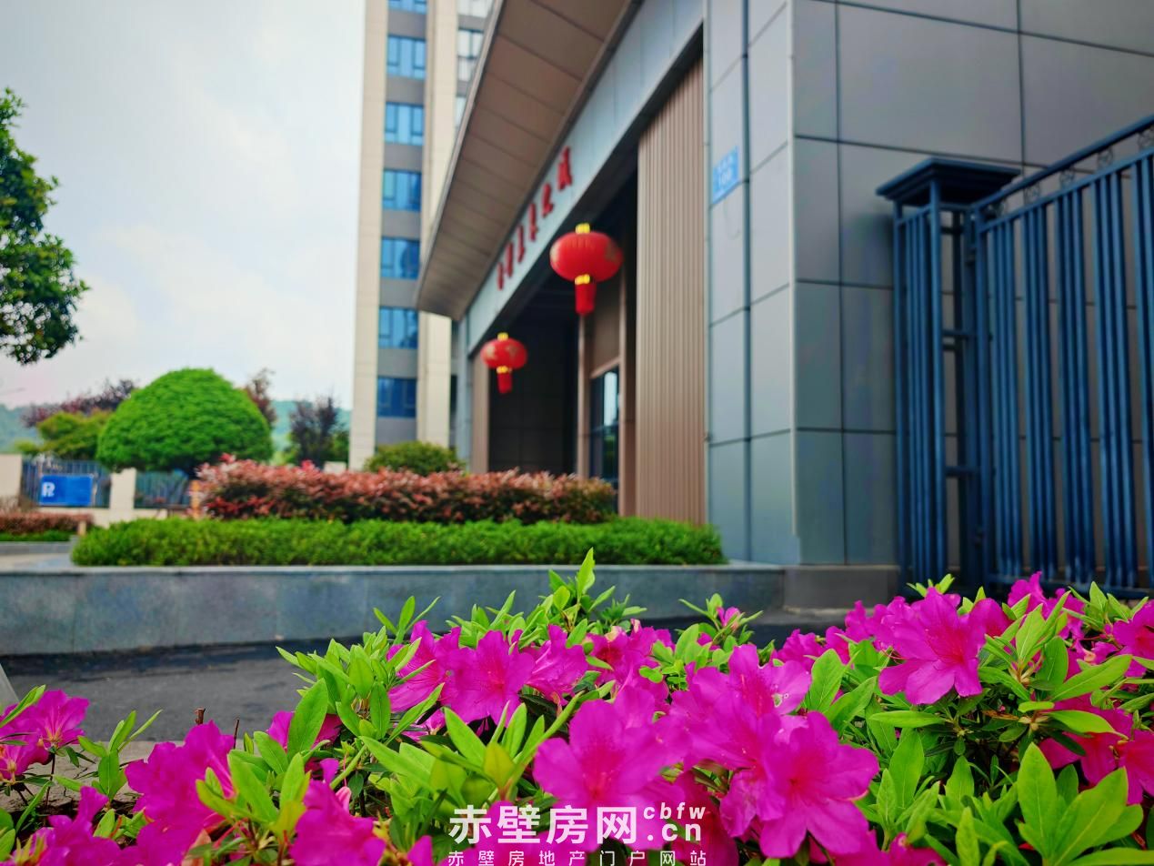 赤壁未来之城，体验从花海现房中醒来