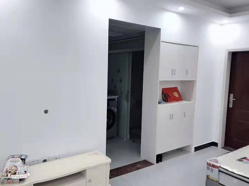 东洲大厦·精装修公寓·可以拎包入住1000/月