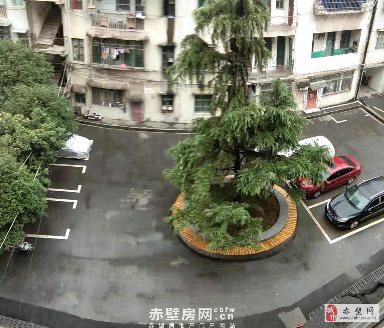 赤壁市老农业局原畜牧局院内