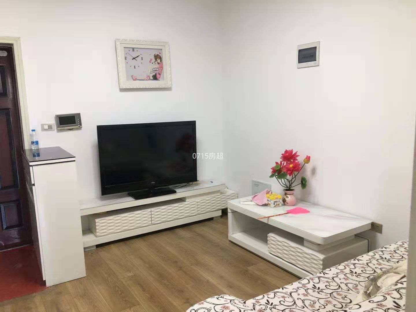 银河花园城·一室一厅河景房出租1000/月