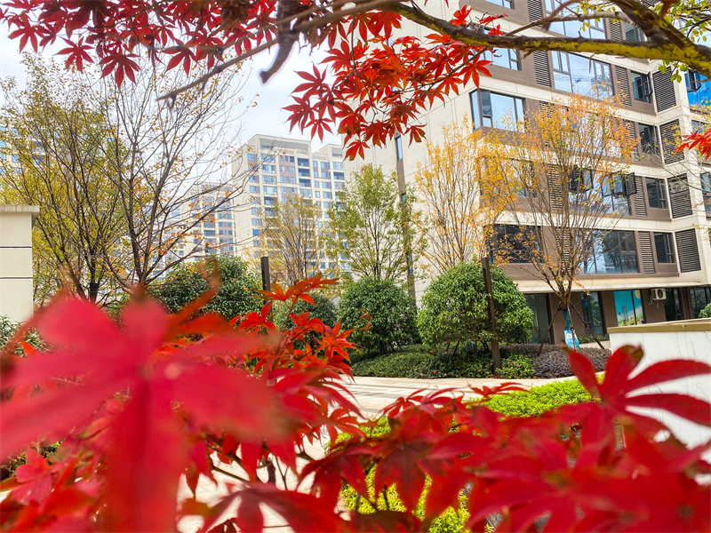 听雨赤壁·云尚南苑：冬日雨幕中，看见家的另一种质感