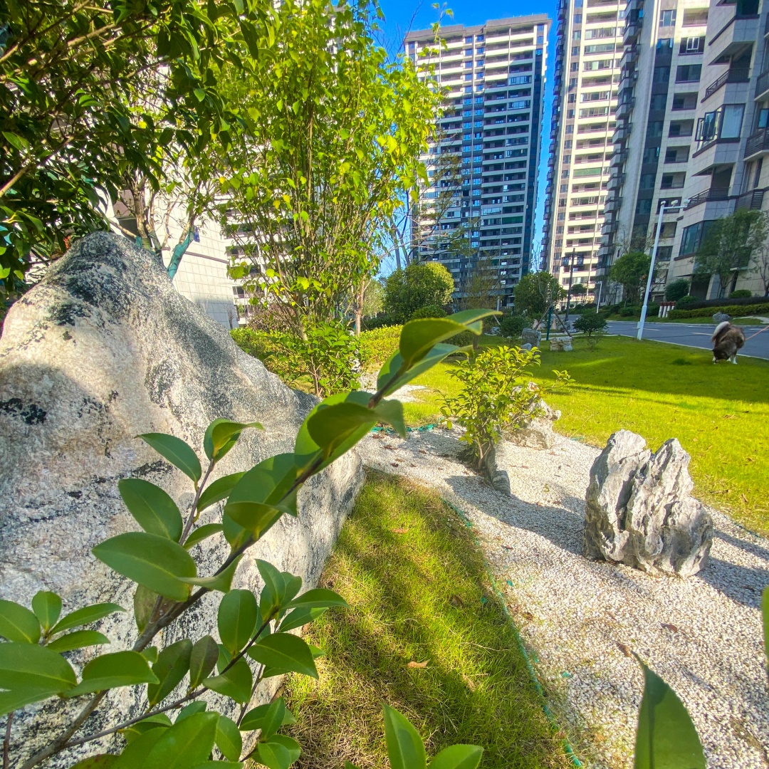 【实景风华 恭迎亲鉴】鹏成·玺樾：眼前的风景，是最动人的回响