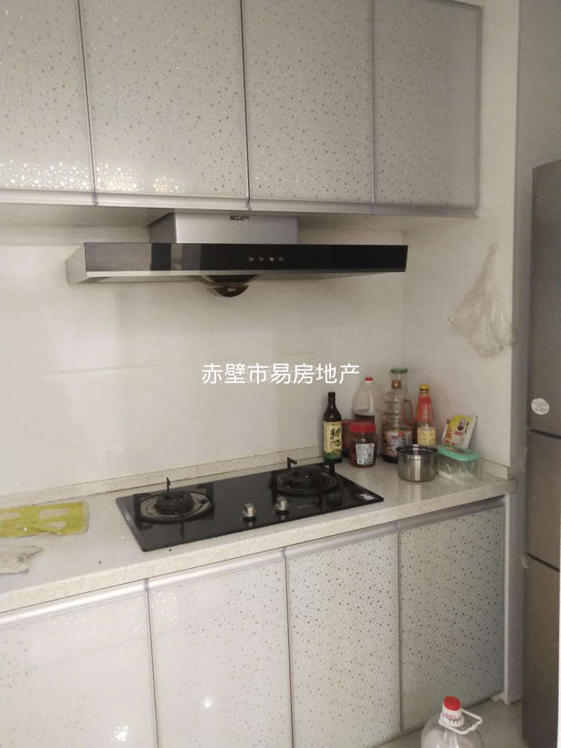 丰业盛世·两室两厅电梯房·只需拎包入住1500/月