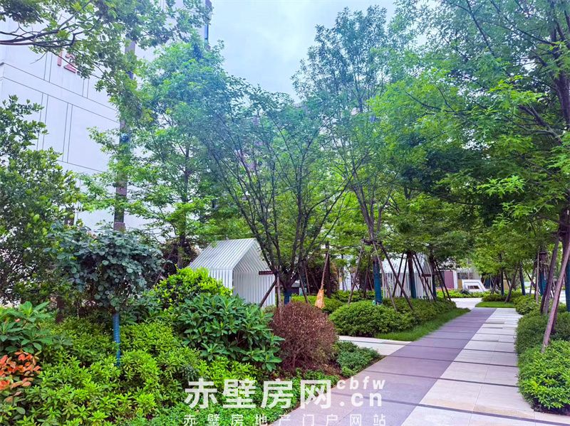 同样是夏天，为什么云尚业主的朋友圈全是“岁月静好”