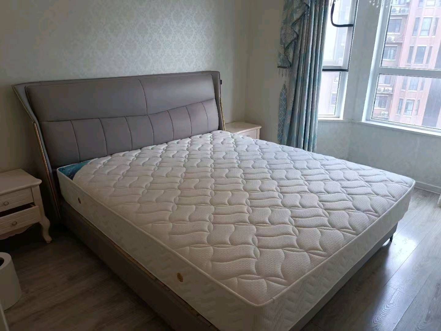 塞纳河畔·两室两厅·全新装修·拎包入住·带家电家私报价48万