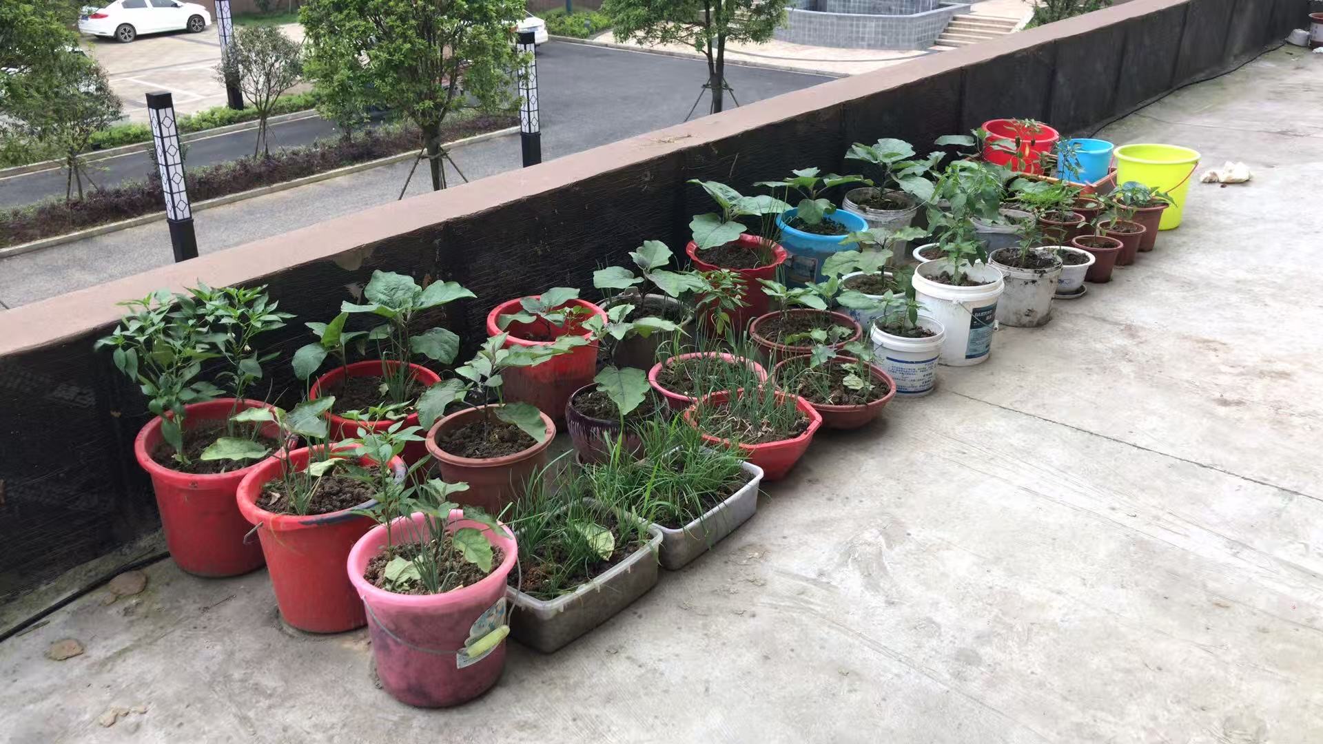 御龙学府·两室两厅·精装修2室2厅·带平台出租1250/月