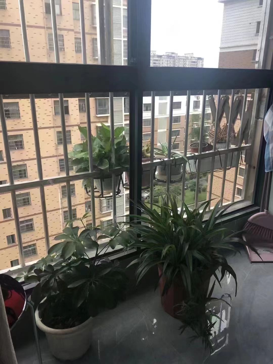 郡都小区·精装公寓拎包入住1000/月