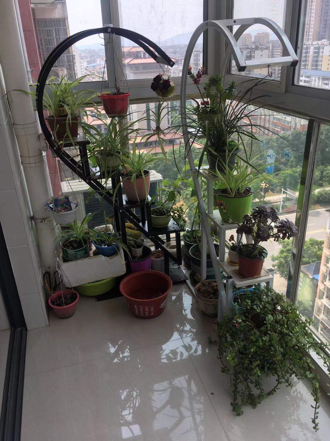 长城花园·精装公寓·周边啥都有1200/月