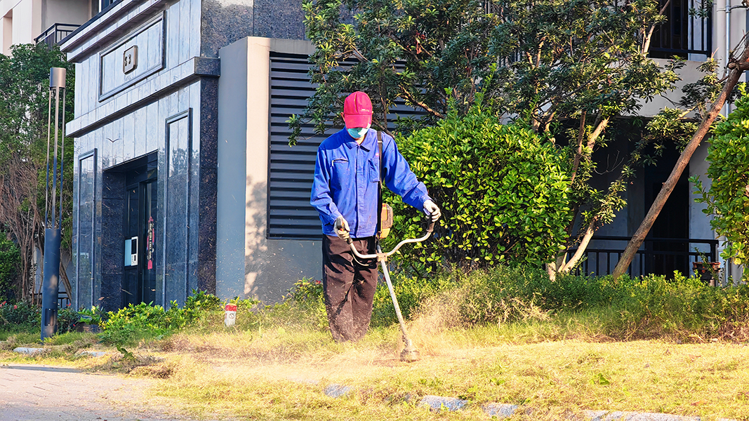 赤壁未来之城 | 园林焕新记，还家园美颜