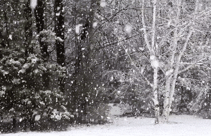 /lpfile/2019/01/03/2019010308432673121wgppsu.gif