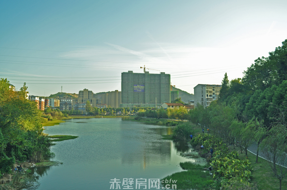 2019021808370921215r4ud76.png