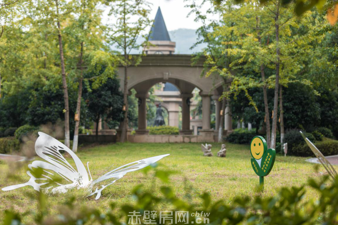 2019120514295015889uowhxy.png