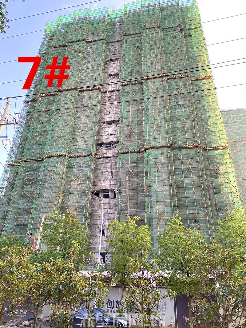 7#楼建至24层，预计下个月封顶。11月20日