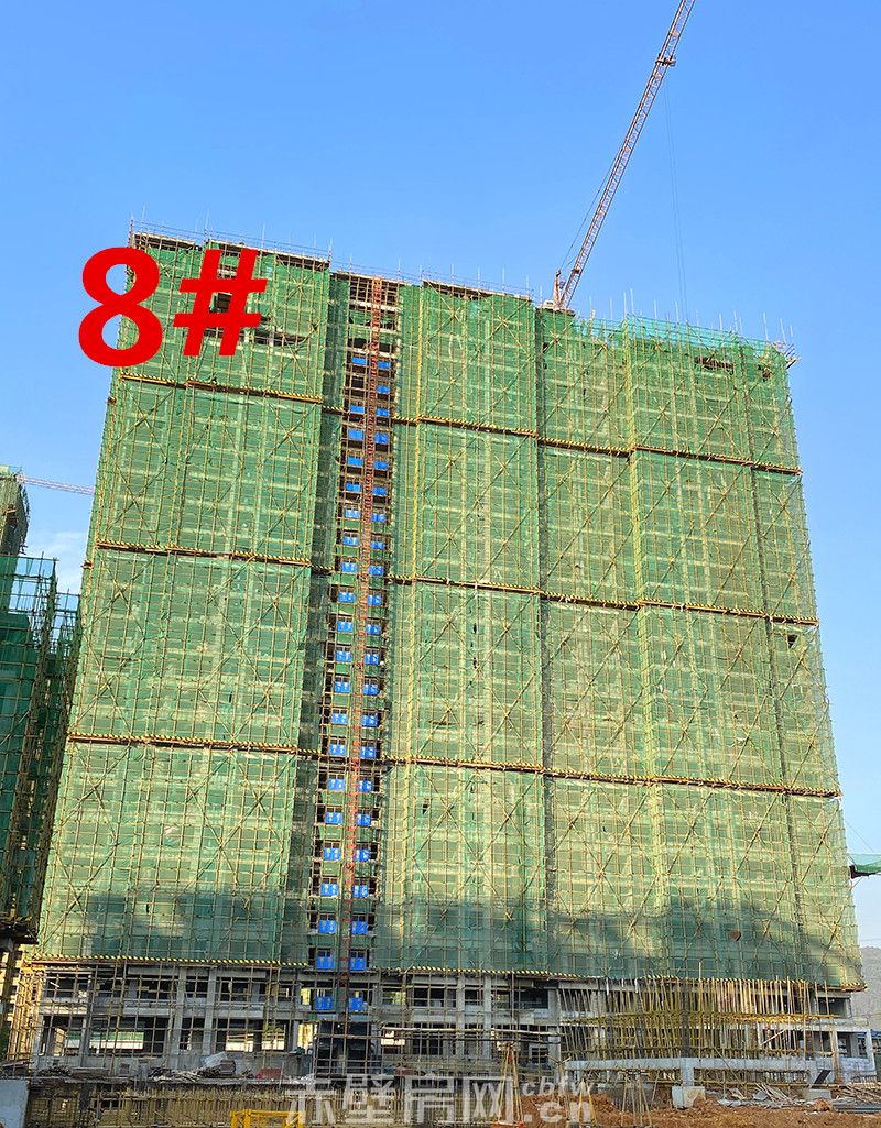  8#楼共计26层，预计月底左右封顶。11月20日