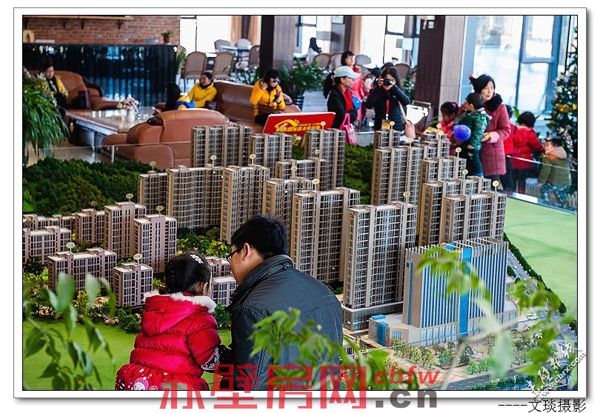 网友视角：我的元旦与看房团一起度过