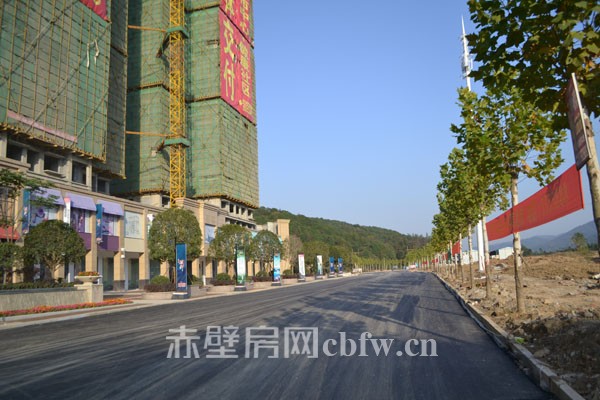 要致富，先修路，東洲大道似高速