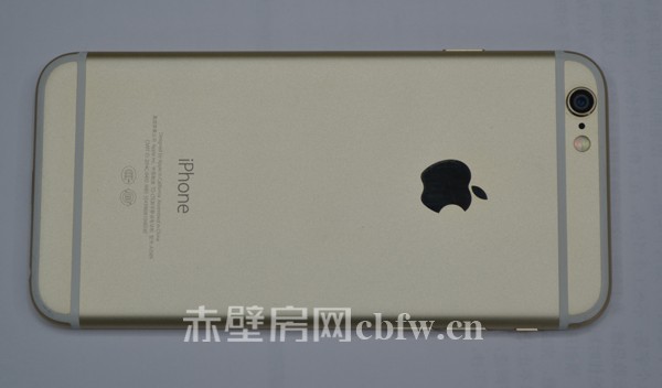 看房团奖品已采购 看房的游子们回家了吗