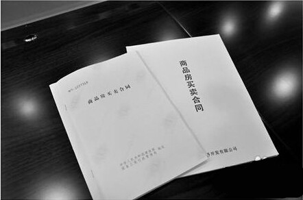 新手买房必看之——合同篇