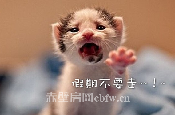 国庆结束，十月还有什么可期待的?