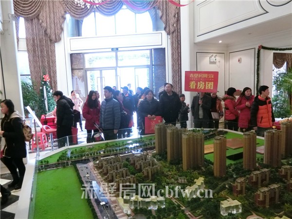 2017返乡置业看房团楼盘已定 一起来参加哦