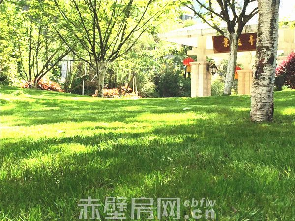 mmexport1492409830065_副本.jpg