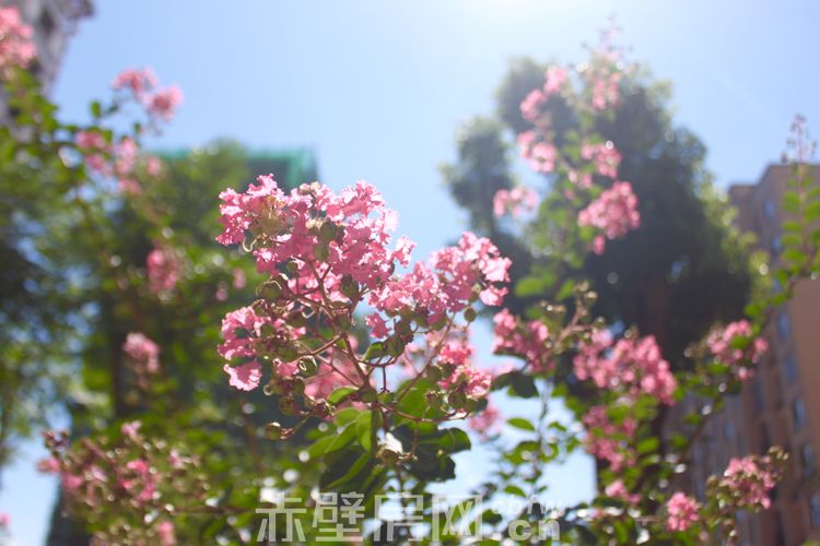 微信图片_20170724093854.jpg