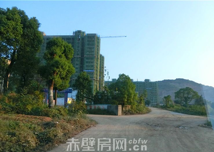 CIMG7140.jpg