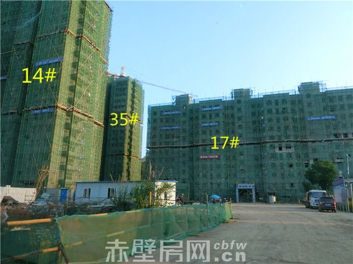 CIMG7152.jpg