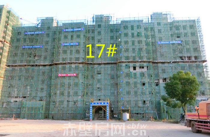 CIMG7155.jpg
