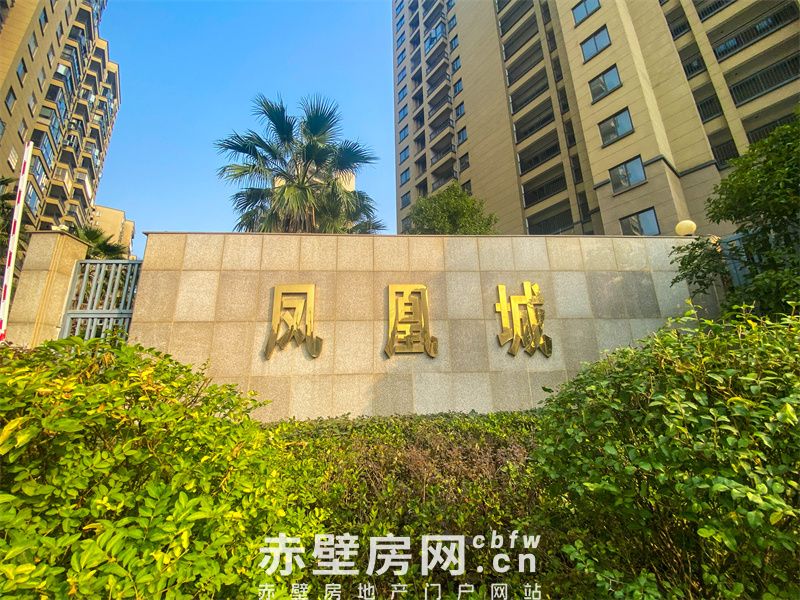 抄底赤壁老城芯：别人赌未来，赤壁·凤凰城直接拎包入住！