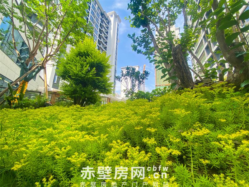 鹏成·状元府陆地游艇：停泊岸的状元生活志