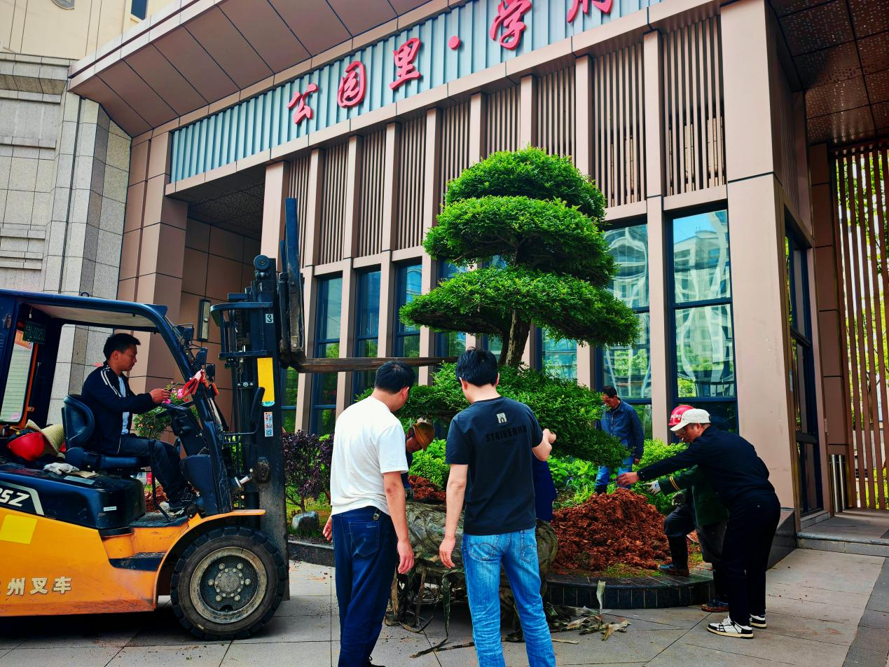 公园里学府二期园林重磅升级，匠心打造盛景美颜！