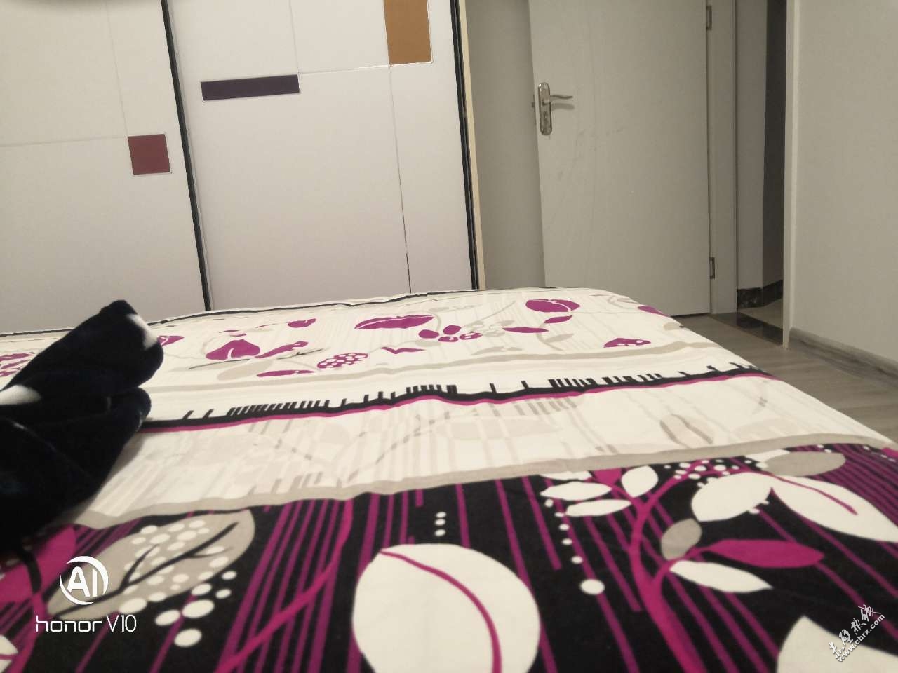 银河花园城·温馨两室两厅·房屋出租1200/月