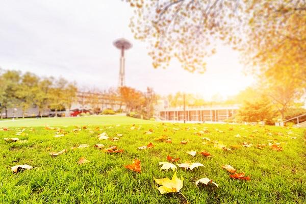 丰业盛世阳光倾泻美好生活get