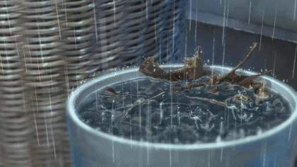 言叶之庭下雨07.gif